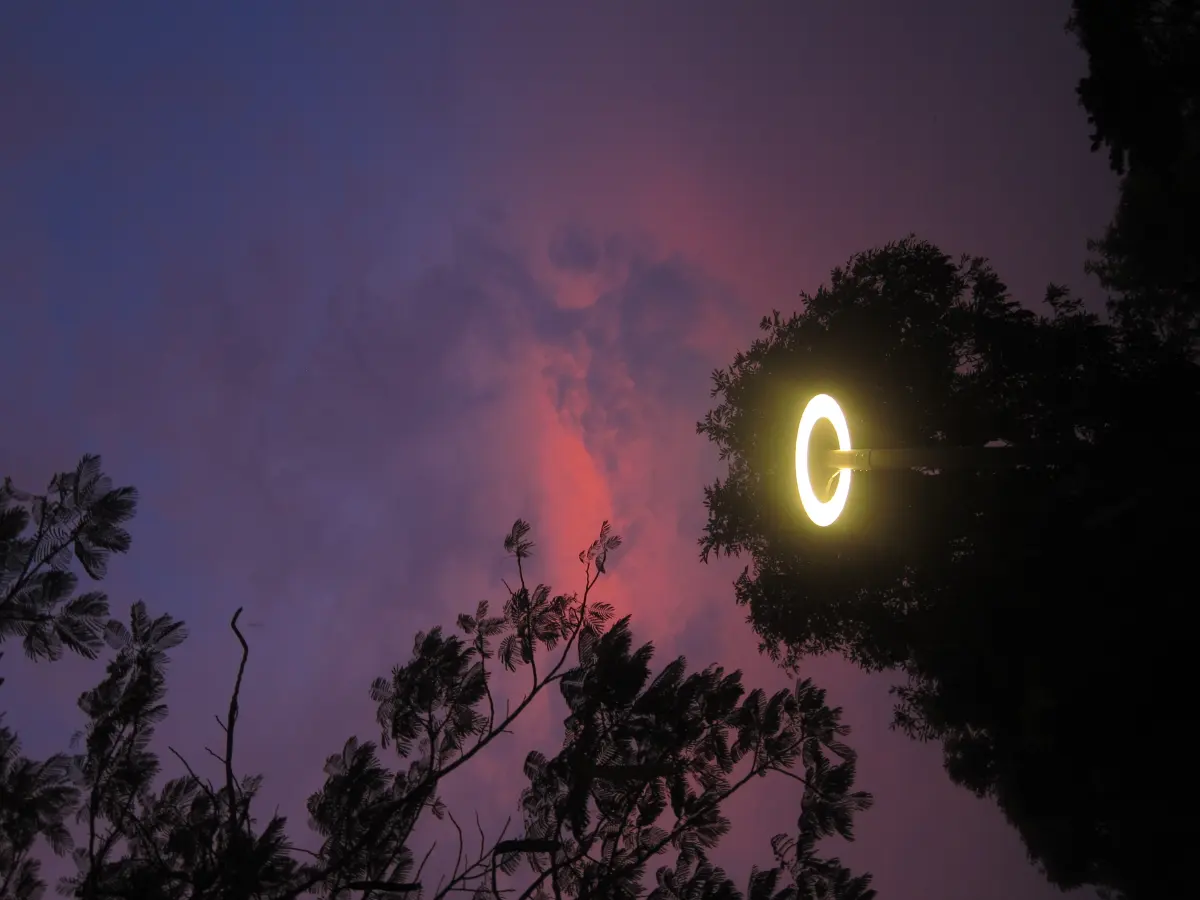 A round streetlight beneath purple dusk clouds and tree silhouettes